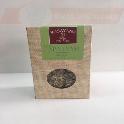 Mayıs Papatyası
