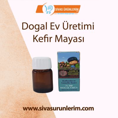 Dogal Ev Üretimi Kefir Mayası