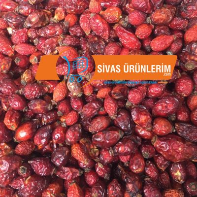 Sivas Kuru Kuşburnu